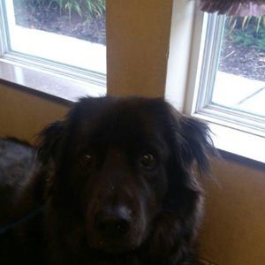 Meet your Posher, Larry